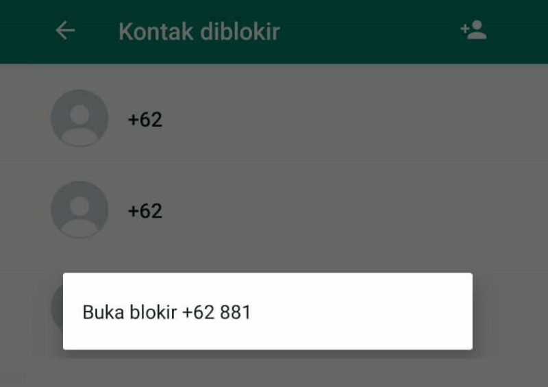 7 Cara Menampilkan Nama Kontak WhatsApp Tidak Muncul