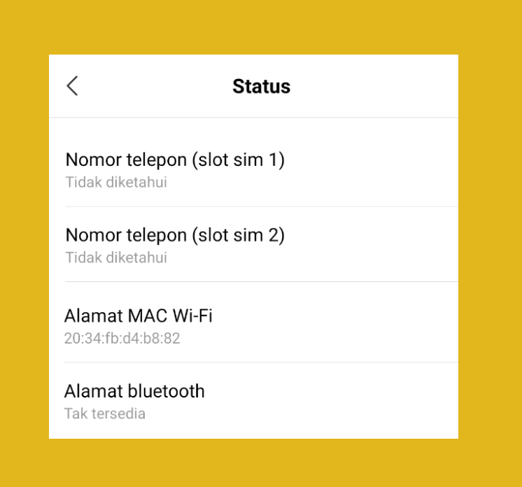 Contoh MAC Address Di WIFI Android